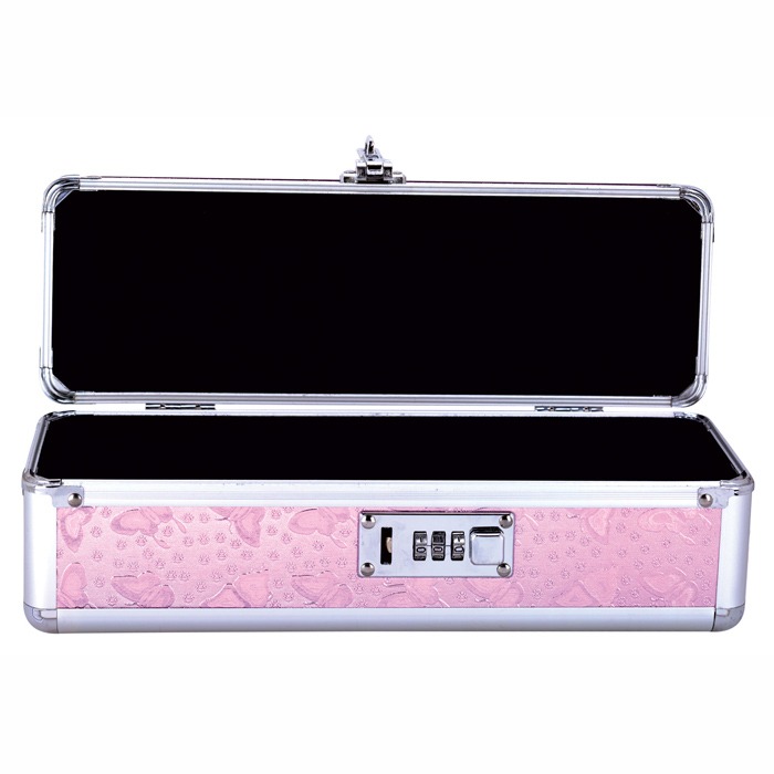 B2010 Medium Lockable Vibrator Case Pink